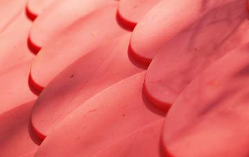 Appletreewick plastic roof costs