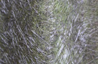 Appletreewick fibreglass roof work